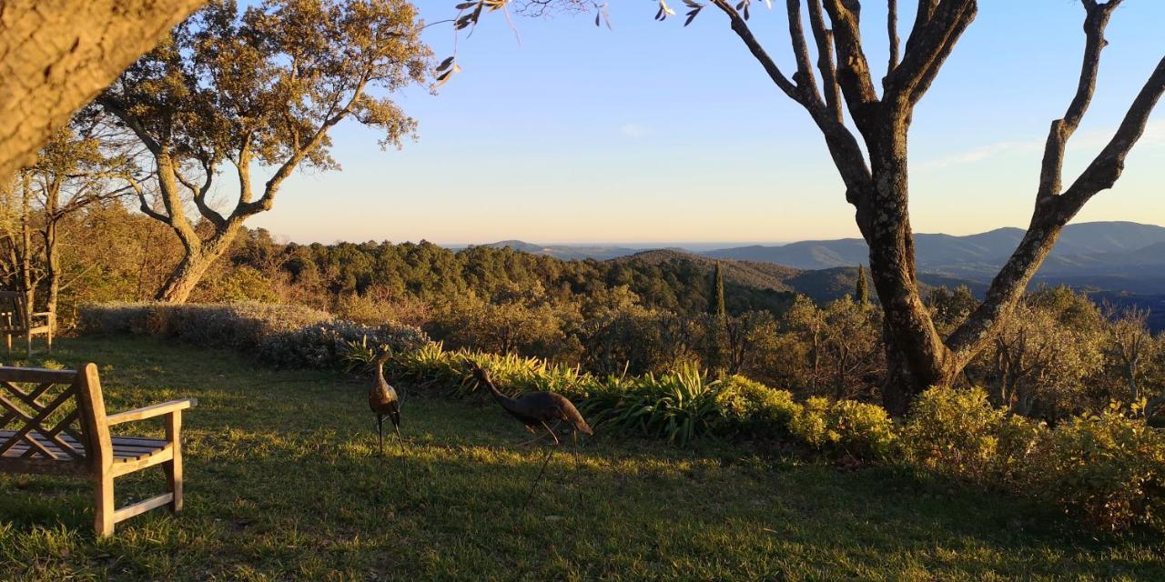 Domaine Des Chenes De La Galline La Garde-Freinet Exterior foto